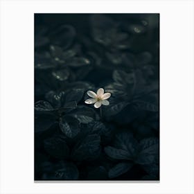 Flower In The Dark 66 Canvas Print