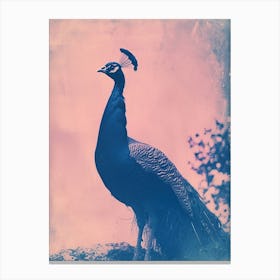 Peacock In The Wild Cyanotype Inspired 4 Canvas Print