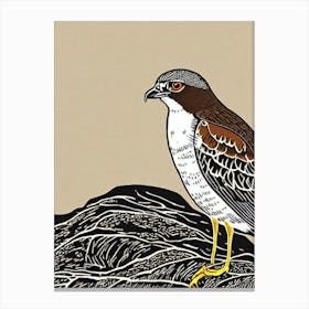 Eurasian Sparrowhawk 3 Linocut Bird Canvas Print