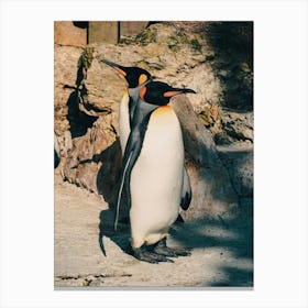 Penguins At The Zoo 1 Canvas Print