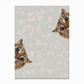 Cat Curious Canvas Print