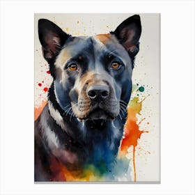 Australian Cattle Dog Canvas Print