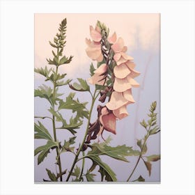 Floral Illustration Aconitum 3 Canvas Print