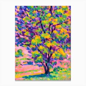 American Sycamore 2 tree Abstract Block Colour Canvas Print