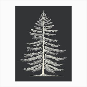 Douglas Fir Tree Minimalistic Drawing 3 Canvas Print