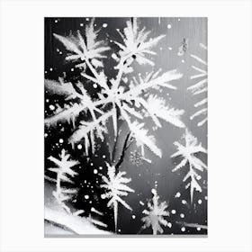 Frost, Snowflakes, Black & White 1 Canvas Print