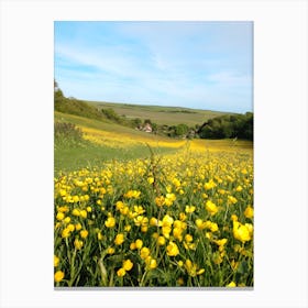 Field Of Yellow Flowers Canvas Print