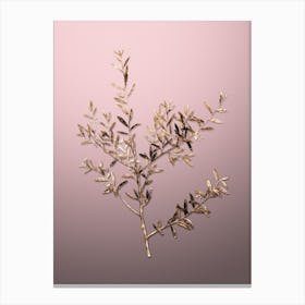 Gold Botanical Myrtle Dahoon Branch on Rose Quartz n.0919 Canvas Print