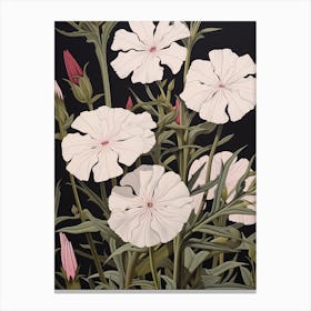 Flower Illustration Phlox 2 Canvas Print