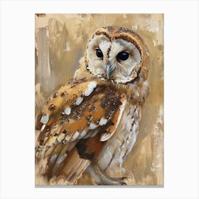 Australian Masked Owl Painting 7 Canvas Print