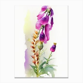 Foxglove Wildflower Watercolour 2 Canvas Print