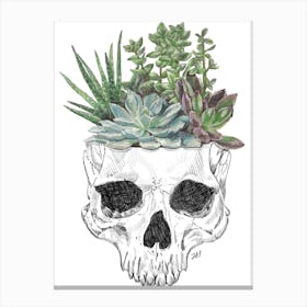 Skull Succulent Canvas Print