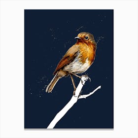 The Robin On Midnight Blue Canvas Print