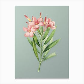 Vintage Oleander Botanical Art on Mint Green Canvas Print
