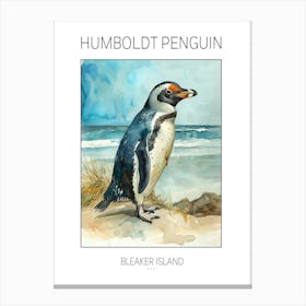 Humboldt Penguin Bleaker Island Watercolour Painting 3 Poster Canvas Print
