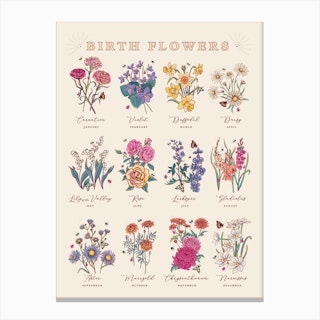 Birth Flowers On Cream Canvas Print