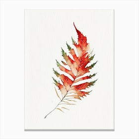 Western Red Cedar Leaf Minimalist Watercolour Canvas Print
