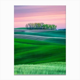 Sunset In The Fields Canvas Print