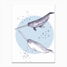 Narwhales Canvas Print
