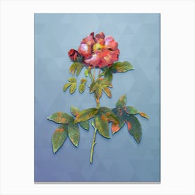 Vintage Provins Rose Botanical Art on Summer Song Blue n.1592 Canvas Print