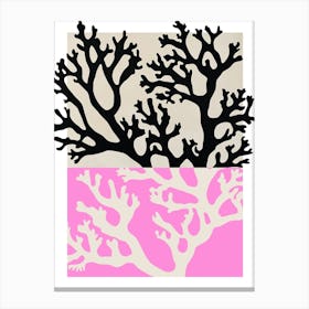 Coral Pink Canvas Print