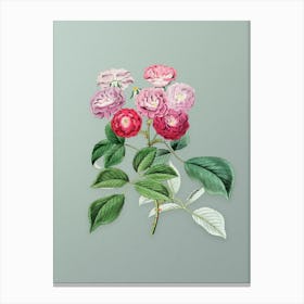 Vintage Seven Sister's Rose Botanical Art on Mint Green n.0226 Canvas Print