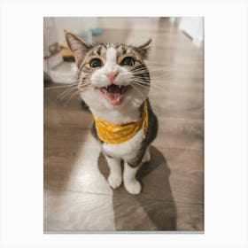 Cat With A Bandana Canvas Print