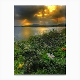 Sunset, sea and vegetation Canvas Print