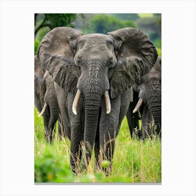 Herd Of Elephants In The Wild Canvas Print