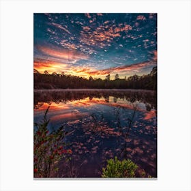 Lake Reflection Canvas Print