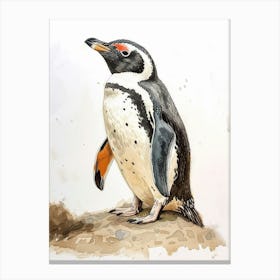 Humboldt Penguin Floreana Island Watercolour Painting 1 Canvas Print