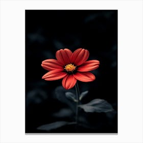 Red Flower 4 Canvas Print