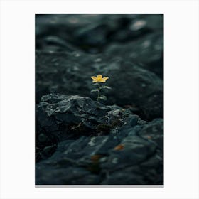 Flower In The Water 19 Canvas Print