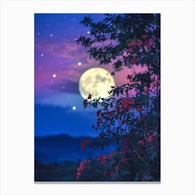 Full Moon In The Sky Canvas Print