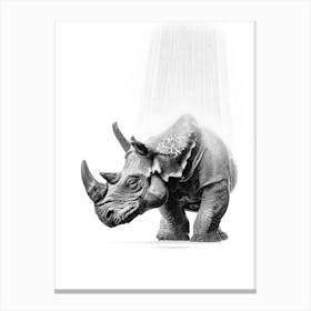 Rhinoceros in the shower Canvas Print