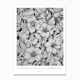 Daffodil B&W Vintage Botanical Poster Canvas Print