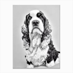 English Cocker Spaniel B&W Pencil dog Canvas Print