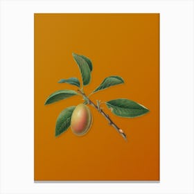 Vintage Armenian Plum Botanical on Sunset Orange n.0356 Canvas Print