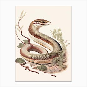 Rough Earth Snake Vintage Canvas Print