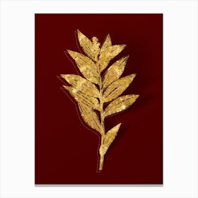 Vintage Smilacina Stellata Botanical in Gold on Red n.0490 Canvas Print