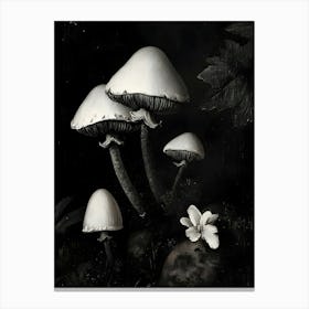 Mushroom And Flower Canvas Print