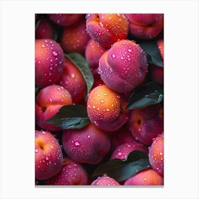 Peaches With Water Droplets Canvas Print