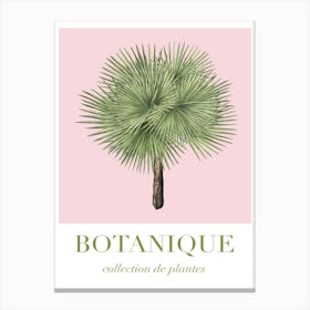 Botanique 2 Pink And Green Canvas Print