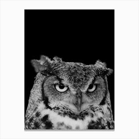 Great Horned Owl 1 Canvas Print