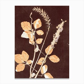 Brown Orange Botanical Leaves Canvas Print