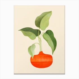 Potted Plant 11 Canvas Print