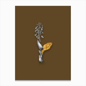 Vintage Brown Widelip Orchid Black and White Gold Leaf Floral Art on Coffee Brown n.0535 Canvas Print