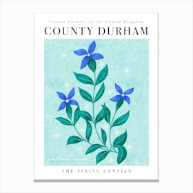 County Flower of County Durham Spring Gentian Canvas Print