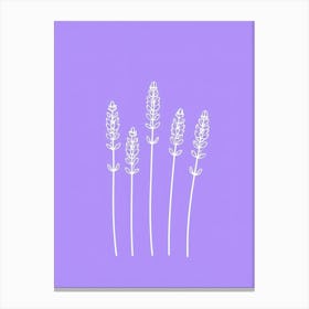 Lavender On Purple Background Lienzo