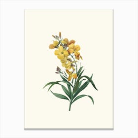 Antique Vintage Flower Illustration - Yellow 1 Canvas Print